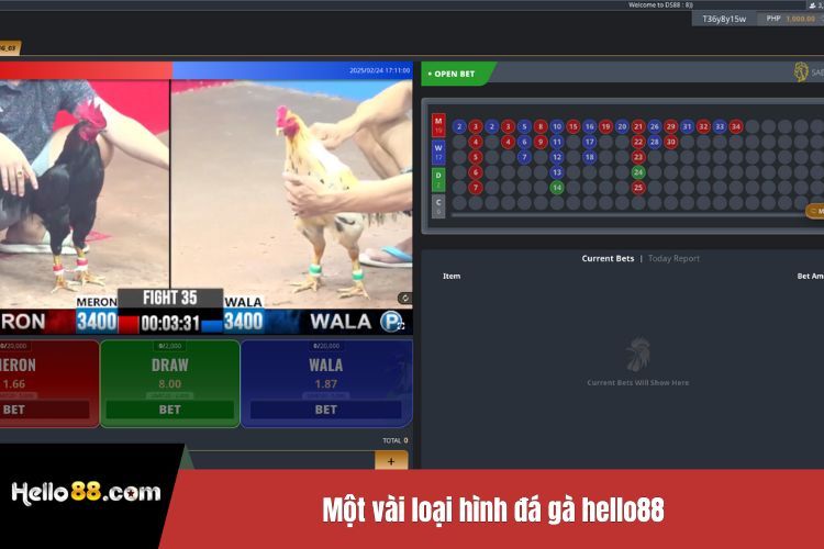 Một vài loại hình đá gà Hello88