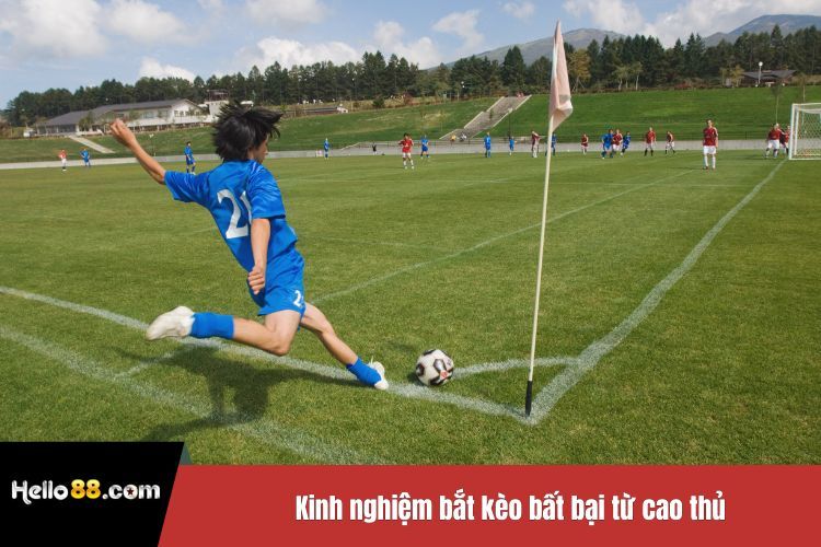 Kinh nghiệm bắt kèo bất bại từ cao thủ