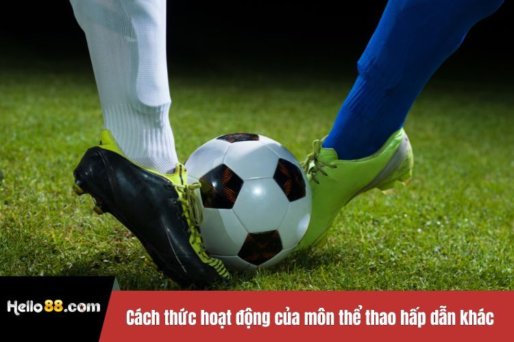 Cách thức hoạt động của những môn thể thao hấp dẫn khác