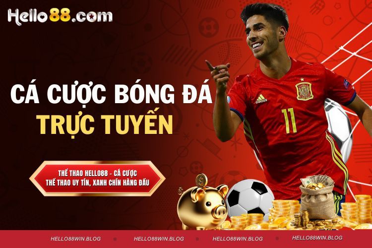 Cá Cược Bóng Đá Trực Tuyến - 50+ Cảm Xúc Thăng Hoa Hiện Nay