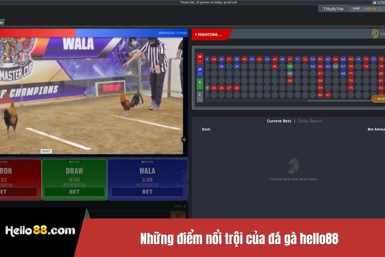 Những điểm nổi trội của đá gà Hello88