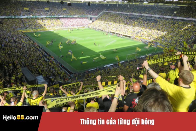Thông tin của từng đội bóng